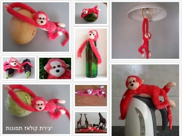 יצירת קולאז תמונות